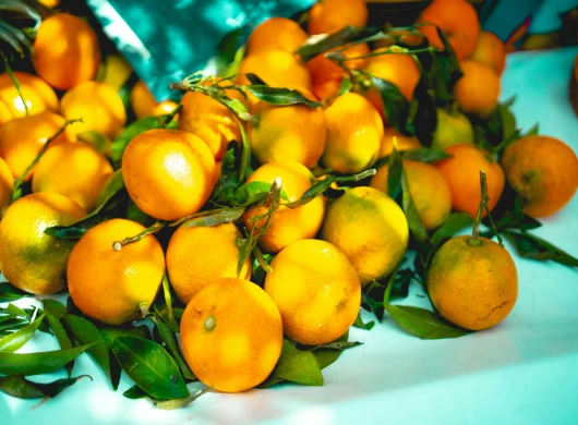 Mandarina