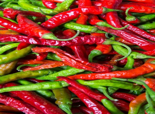 Recept za kisele feferone