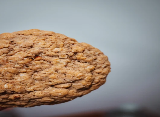 Recept za kekse sa brusnicom