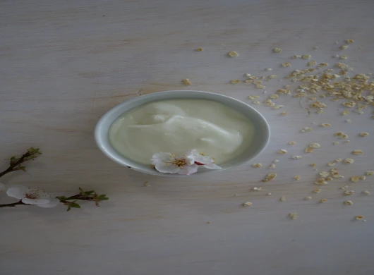 Recept za turski umak sa jogurtom majonezom i mentom