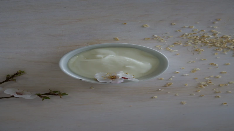 Recept za turski umak sa jogurtom majonezom i mentom