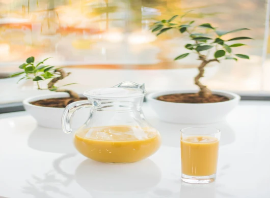 Recept za sok od jabuke mrkve i đumbira