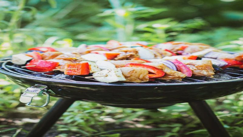 Sočni pileći ražnjići